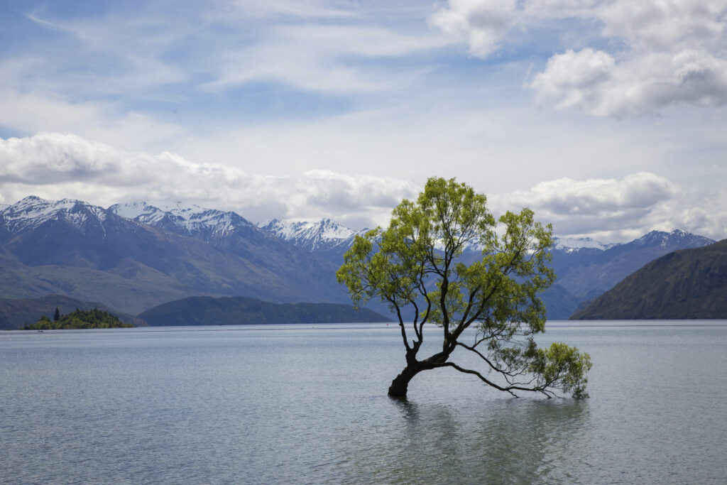 Beitragsbild von Hallo Welt